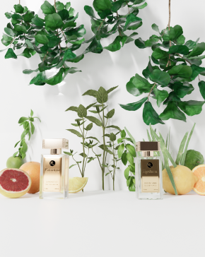 Citrus Family